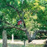 Villa Just Like - Quinta Da Cavada Em Vilar De Mouros