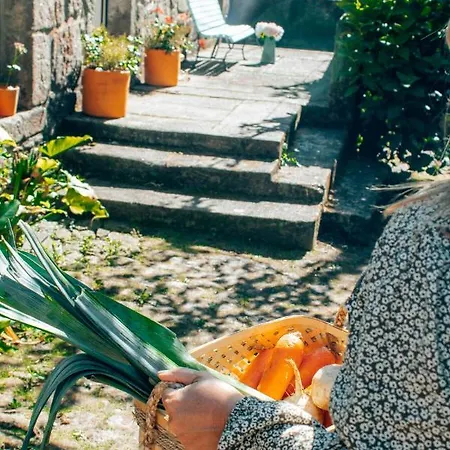 וילה Just Like - Quinta Da Cavada Em Vilar De Mouros