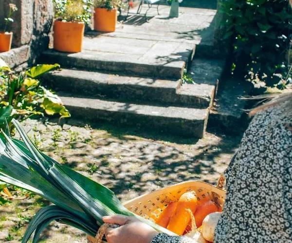 빌라 Just Like - Quinta Da Cavada Em Vilar De Mouros